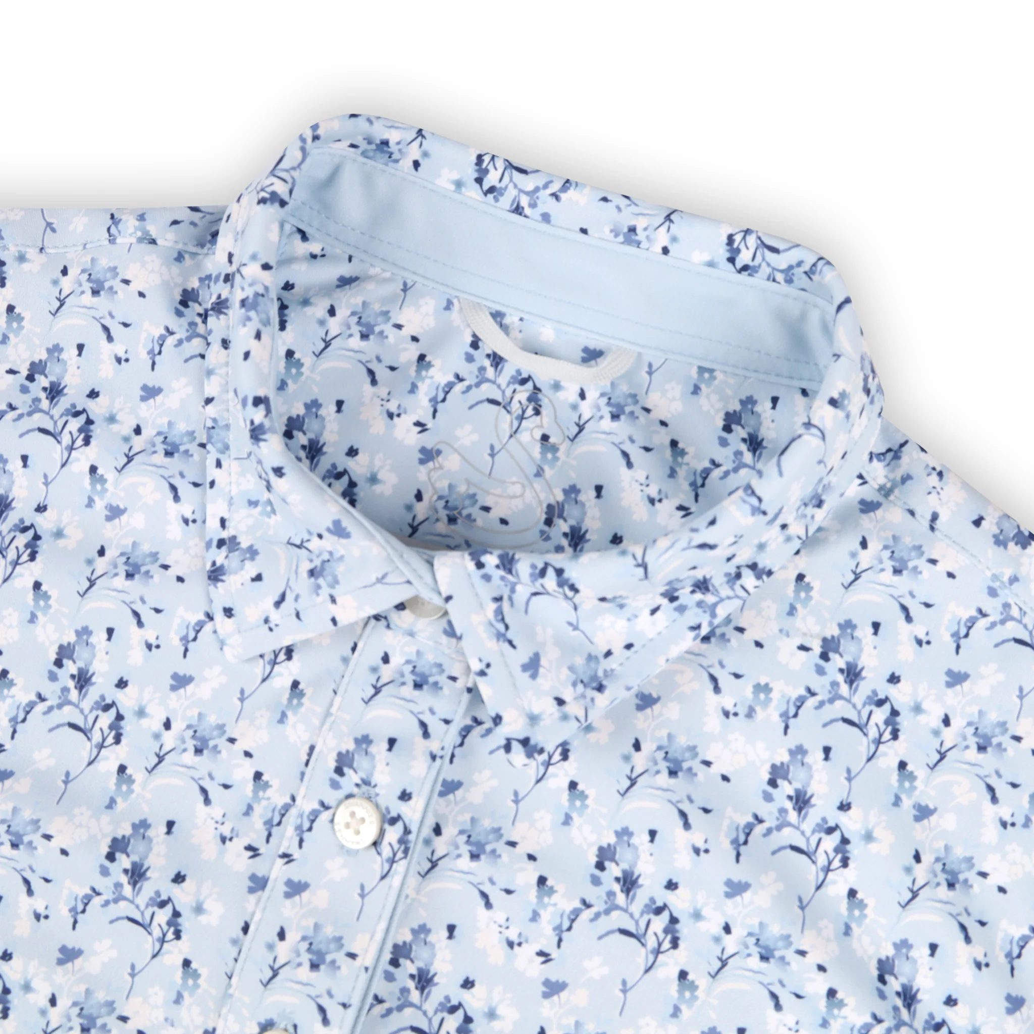 Ameeta Polo - Image 2