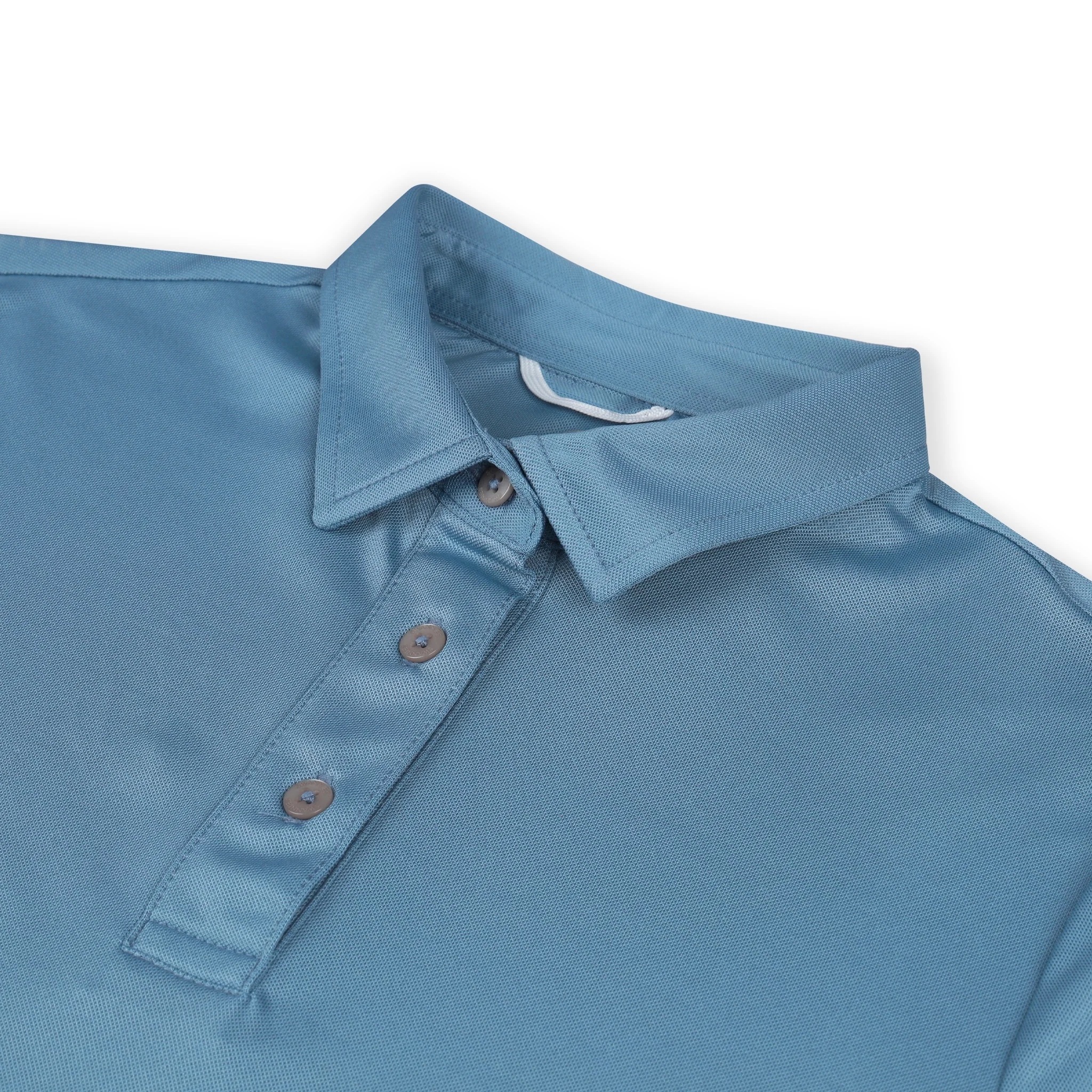 Ava Polo - Image 7