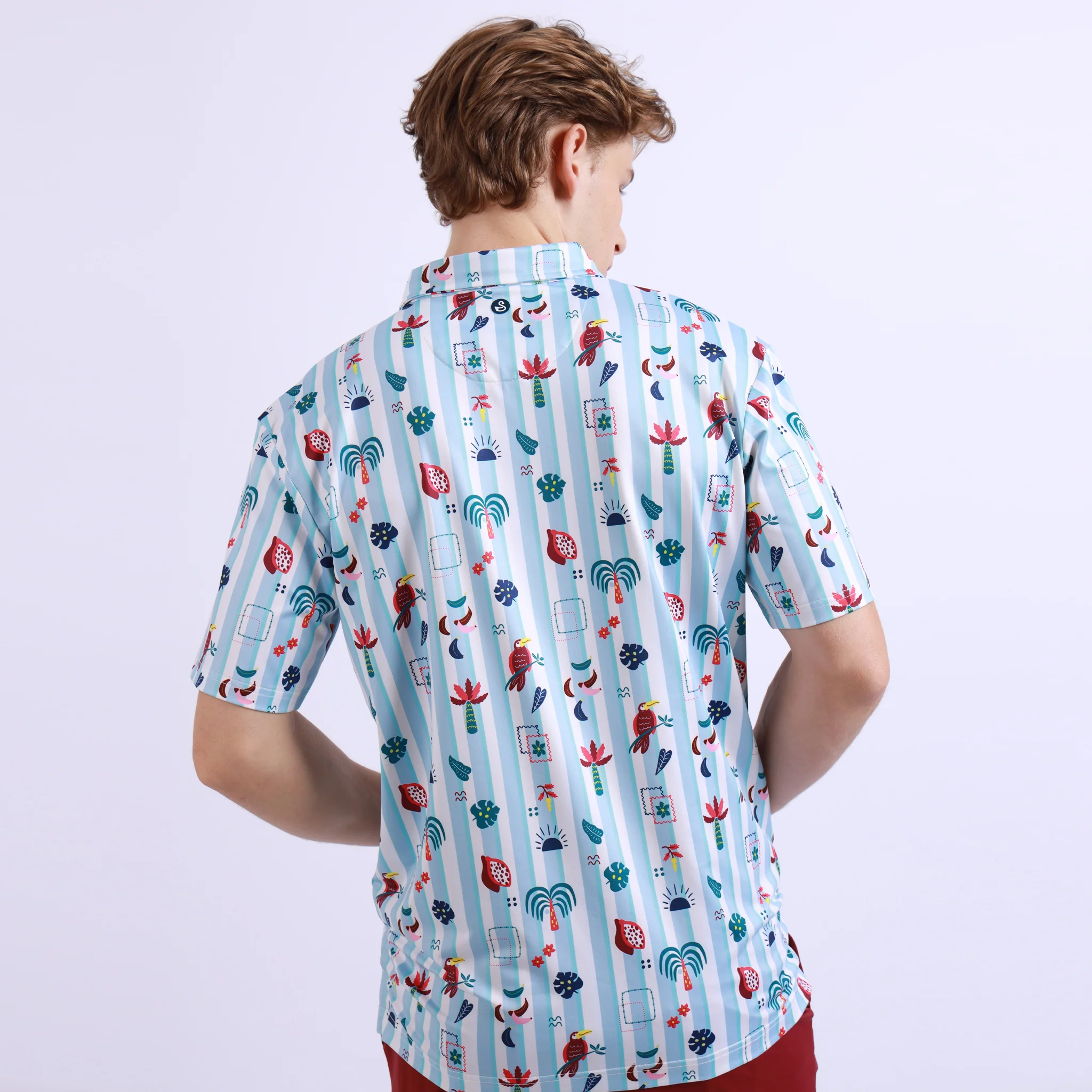 Santiago Polo - Image 4