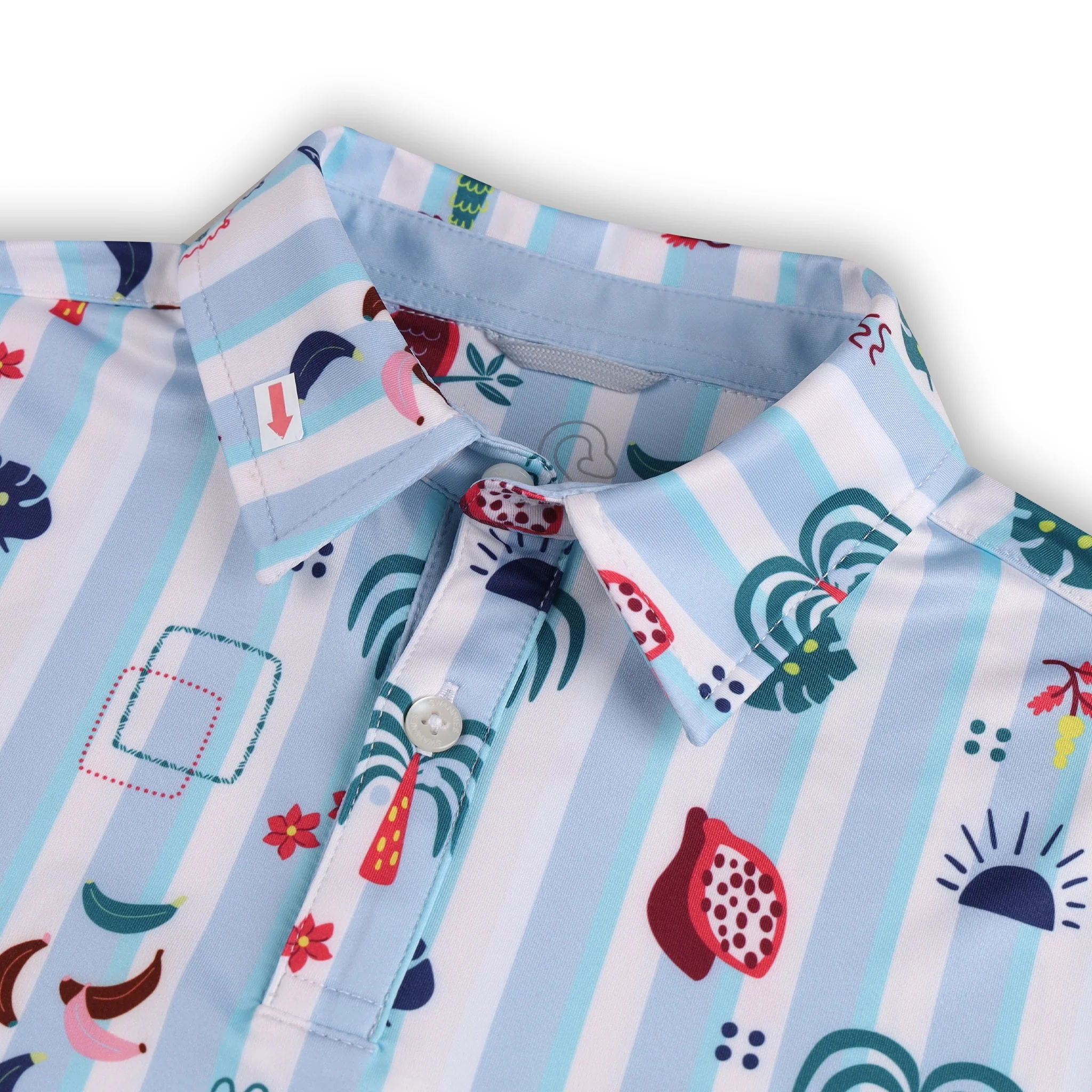 Santiago Polo Junior - Image 2