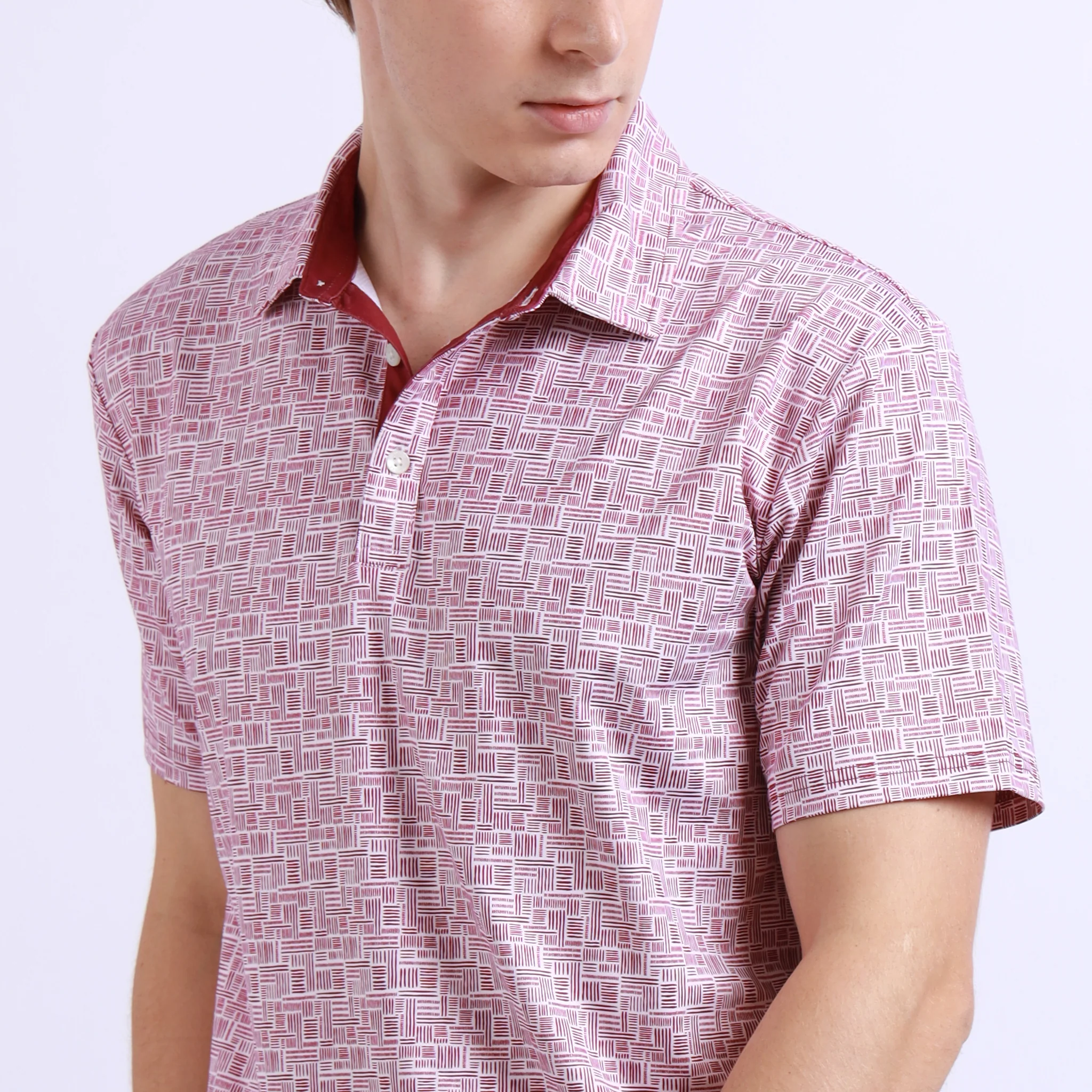 Viva Polo - Image 4